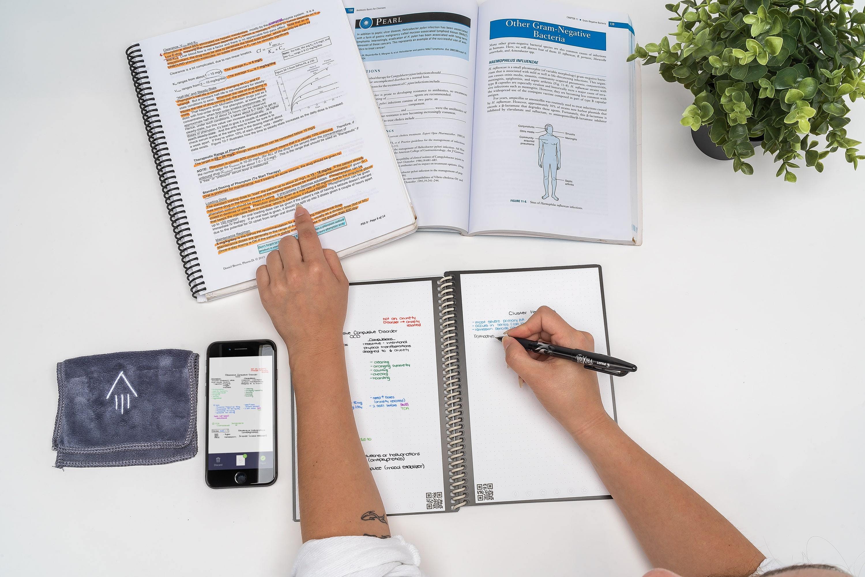 5 Steps to a SuccessOriented Mindset Rocketbook